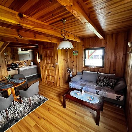 Domek U Karkonosza Villa Kamienna Gora Dış mekan fotoğraf