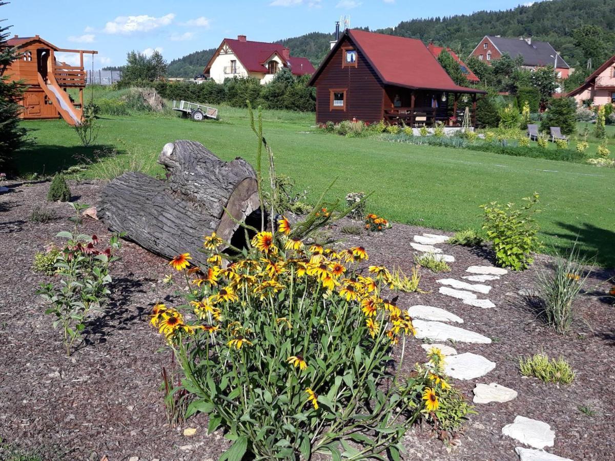 Domek U Karkonosza Villa Kamienna Gora Dış mekan fotoğraf
