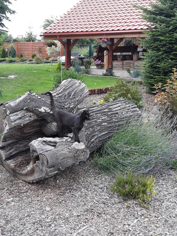 Domek U Karkonosza Villa Kamienna Gora Dış mekan fotoğraf