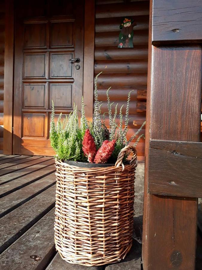 Domek U Karkonosza Villa Kamienna Gora Dış mekan fotoğraf