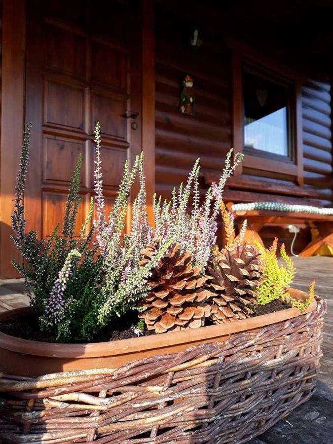 Domek U Karkonosza Villa Kamienna Gora Dış mekan fotoğraf
