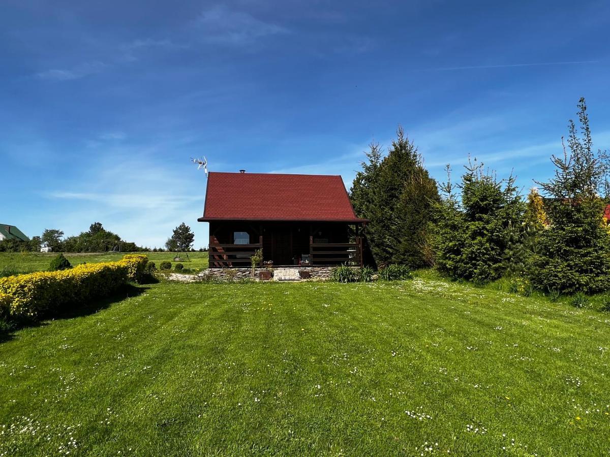 Domek U Karkonosza Villa Kamienna Gora Dış mekan fotoğraf