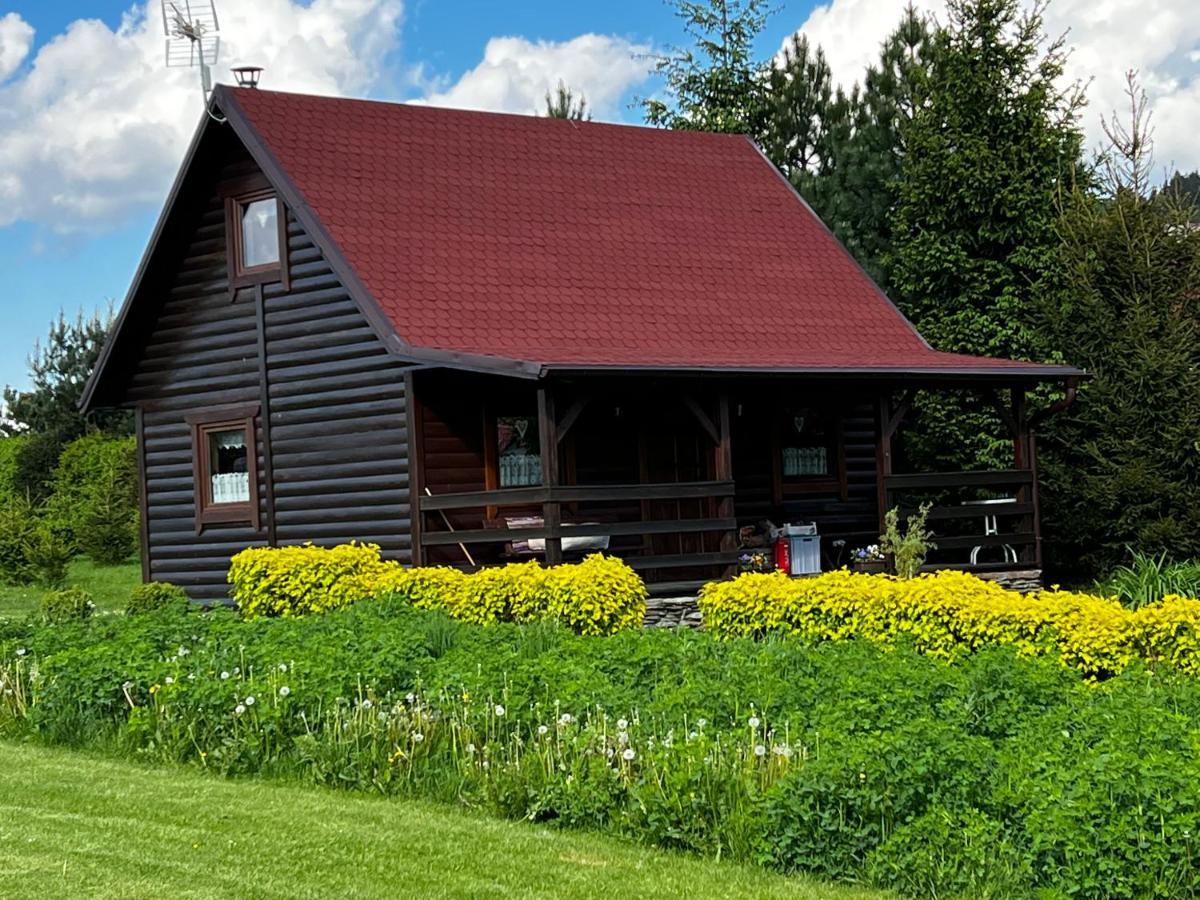 Domek U Karkonosza Villa Kamienna Gora Dış mekan fotoğraf