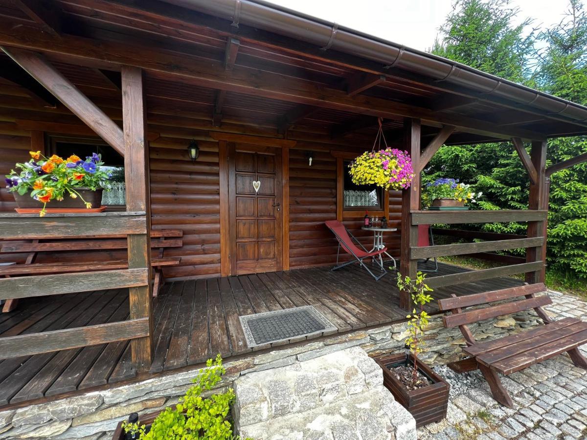 Domek U Karkonosza Villa Kamienna Gora Dış mekan fotoğraf